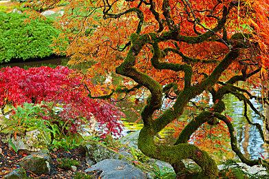 《我们把似曾相见的「那些游戏」都做成了火柴人，可是你又能否成功过关呢？》上线